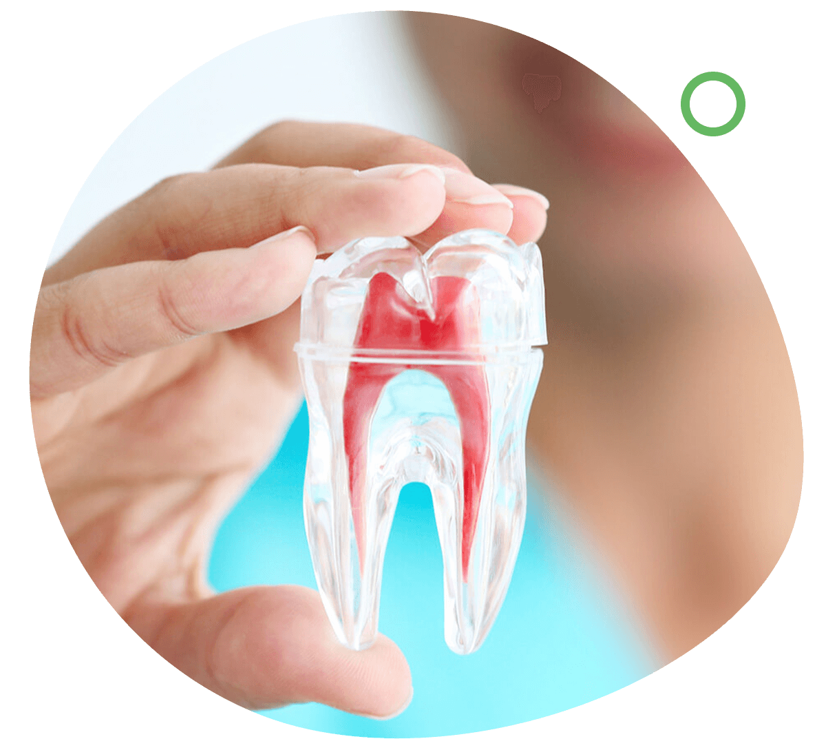 endo-min https://www.benedent.sk/wp-content/uploads/2022/08/endo-min.png